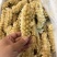黄刺黄玉刺王海参规格全团购好品。