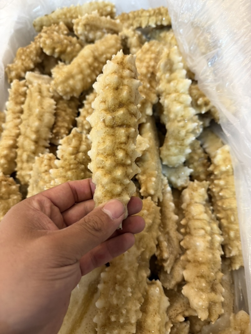 黄刺黄玉刺王海参规格全团购好品。