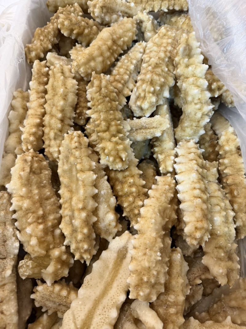 黄刺黄玉刺王海参规格全团购好品。