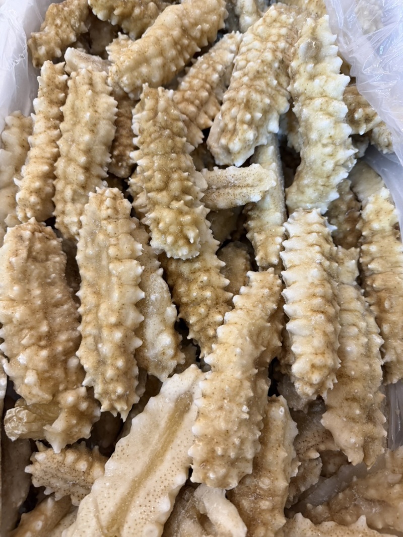黄刺黄玉刺王海参规格全团购好品。