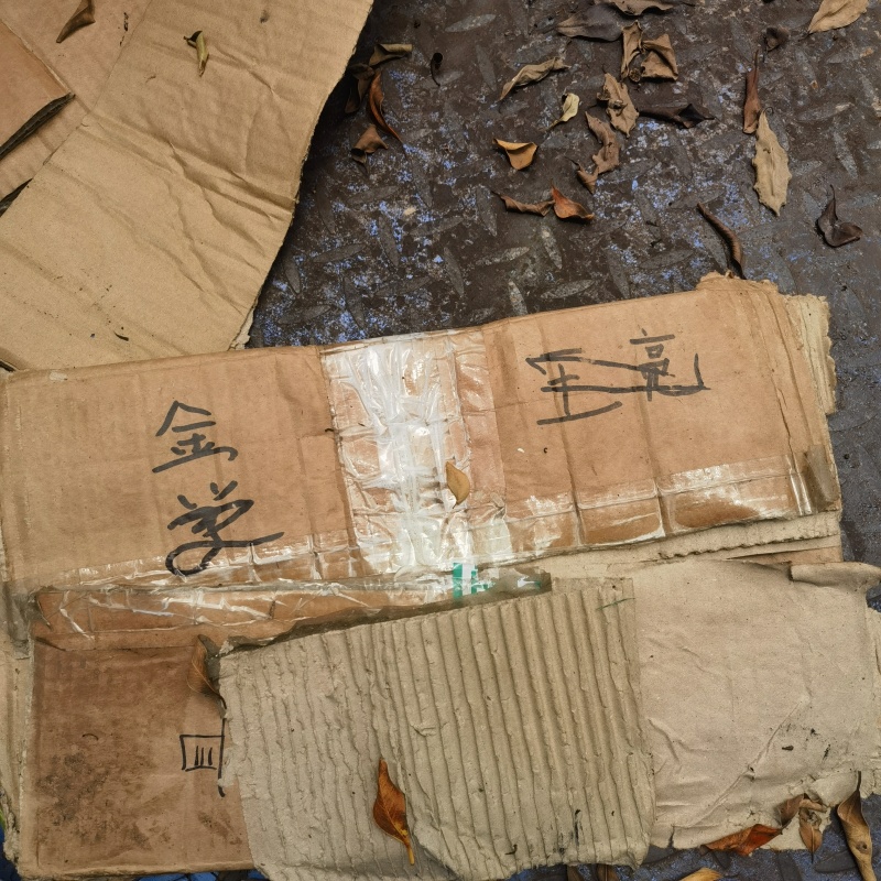 精品诈骗犯山东苹果烂果次果