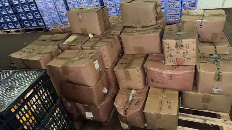 精品诈骗犯山东苹果烂果次果