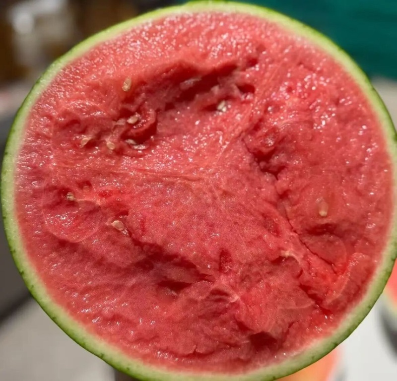 西瓜美都西瓜皮薄多汁现摘现发产地直供一手货源