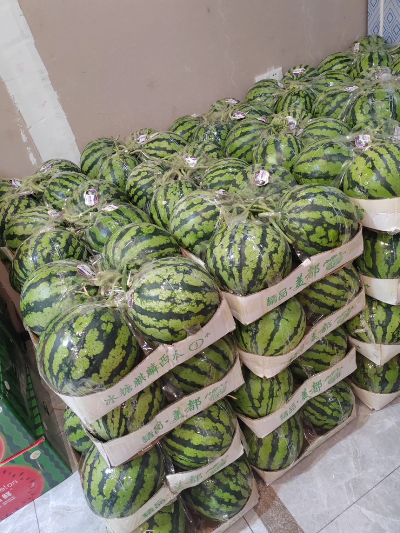 西瓜美都西瓜皮薄多汁现摘现发产地直供一手货源