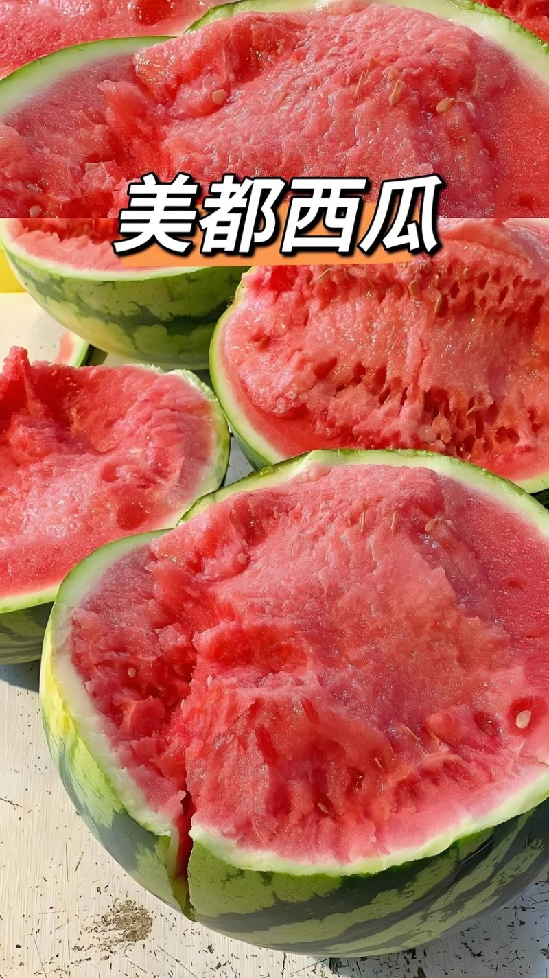 西瓜美都西瓜皮薄多汁现摘现发产地直供一手货源