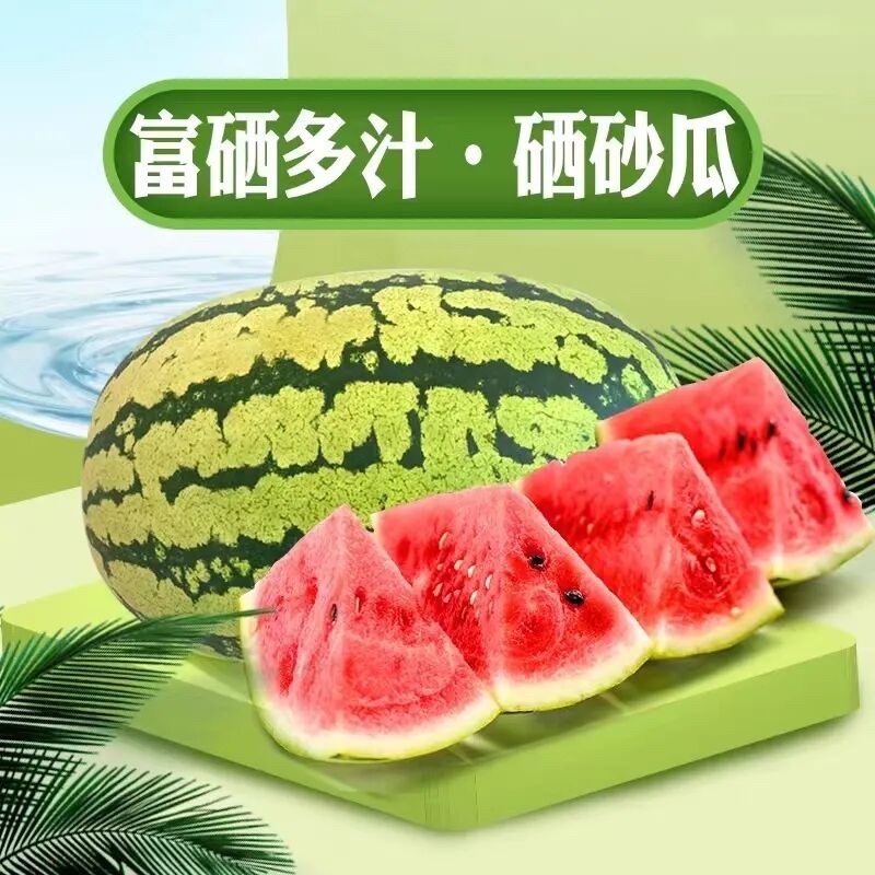 西瓜宁夏硒砂瓜瓜皮薄多汁现摘现发欢迎来电