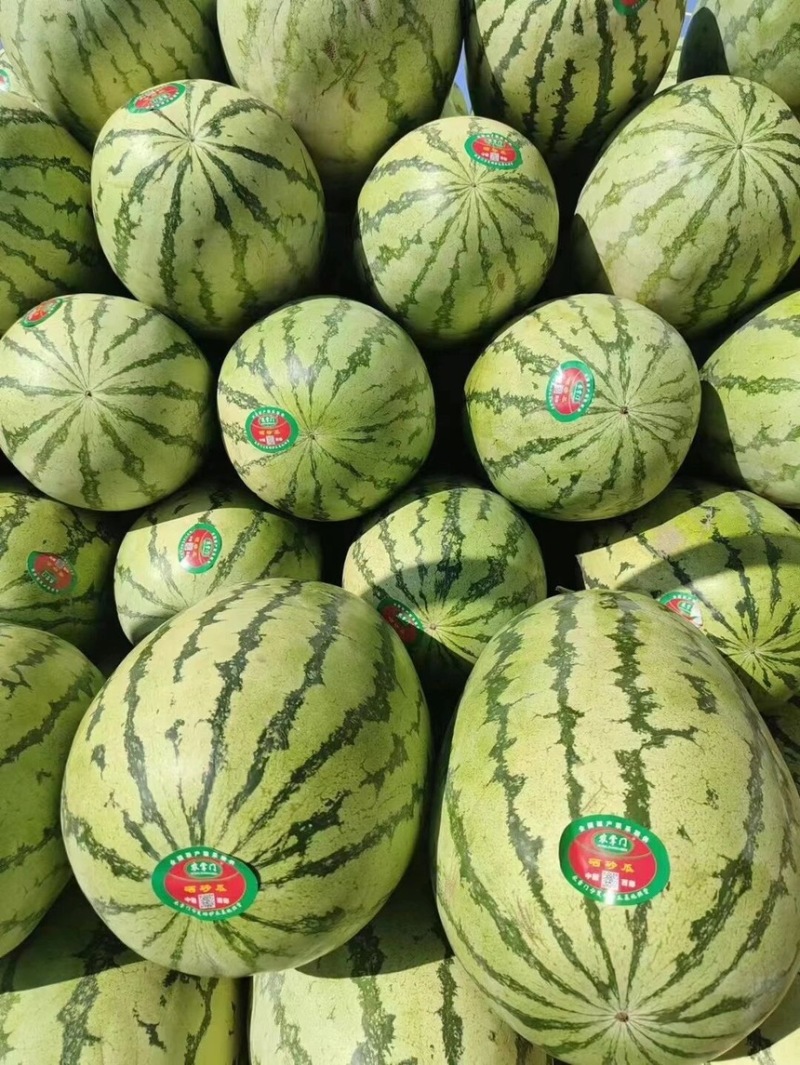 西瓜宁夏硒砂瓜瓜皮薄多汁现摘现发欢迎来电