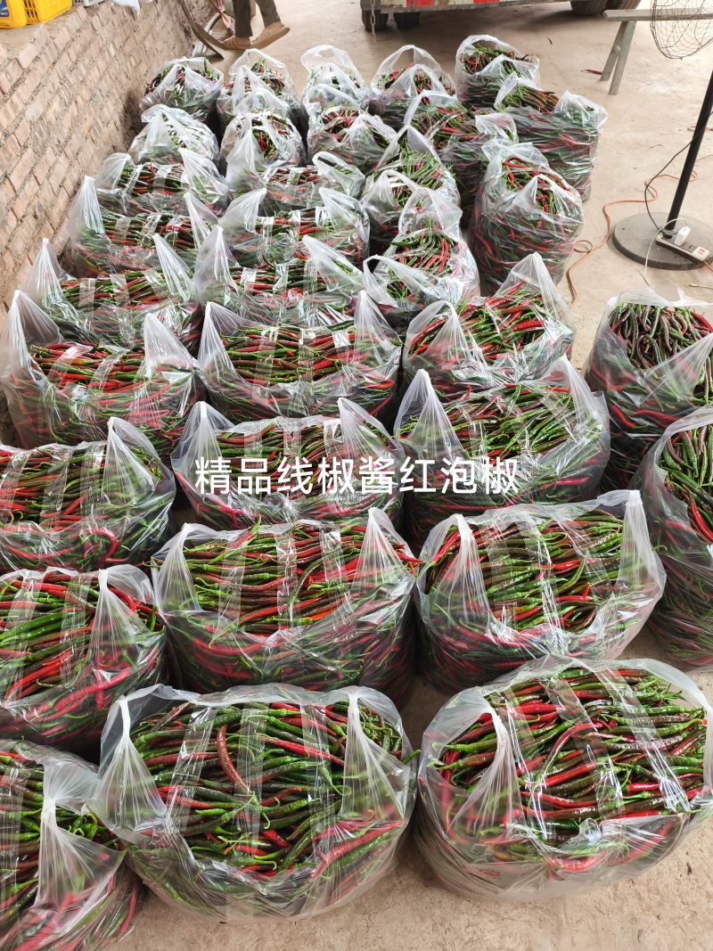 3号泡椒