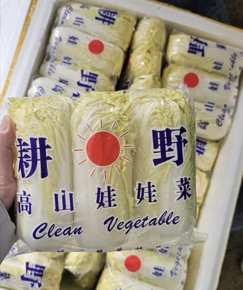 产地精品黄心大小娃娃菜，毛菜，精包装，根据客户需要发货