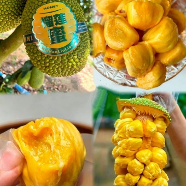 海南榴莲蜜