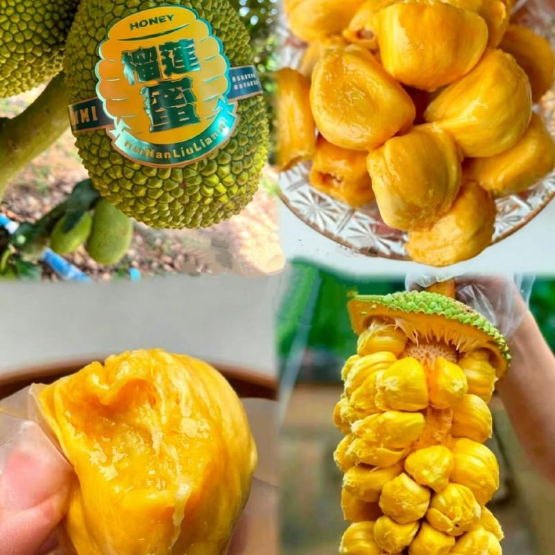 海南榴莲蜜