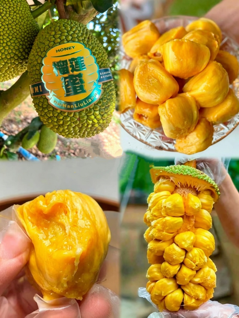 海南榴莲蜜