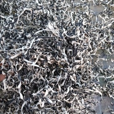 头茬木耳丝大量上市欢迎各位老板来电咨询价格可谈