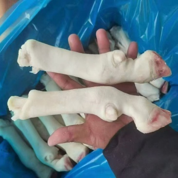 纯育肥羊蹄，纯干货不抽筋，各种大小规格都有，质量保证。