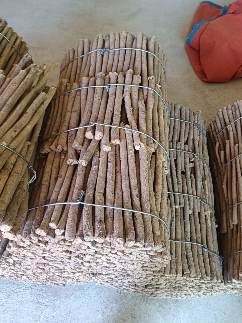 甘肃岷县黄芪原条无硫整根黄芪农家自种干货大捆现货可切片