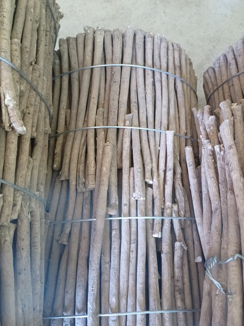 甘肃岷县黄芪原条无硫整根黄芪农家自种干货大捆现货可切片