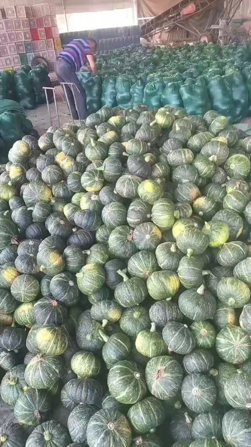 产地直发各种贝贝南瓜板栗南瓜贵族南瓜银栗