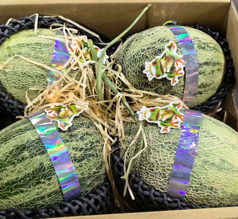 青蛙王子，倾城蜜瓜，橄榄蜜，可对接各大高端批发市场，商超