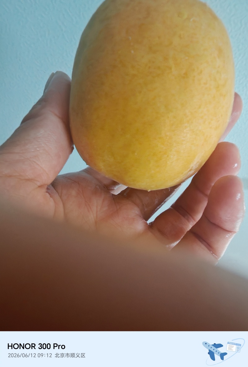 杏香白2.5一斤