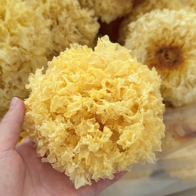 高泡发银耳干品大宗批发自然晾无硫熏餐饮药膳礼品渠道优