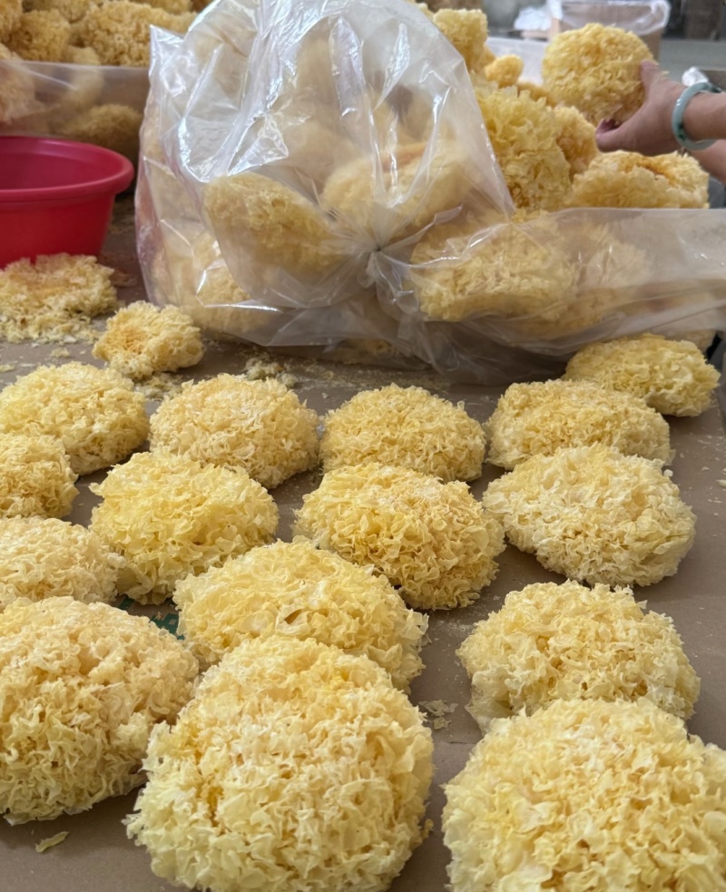 高泡发银耳干品大宗批发自然晾无硫熏餐饮药膳礼品渠道优