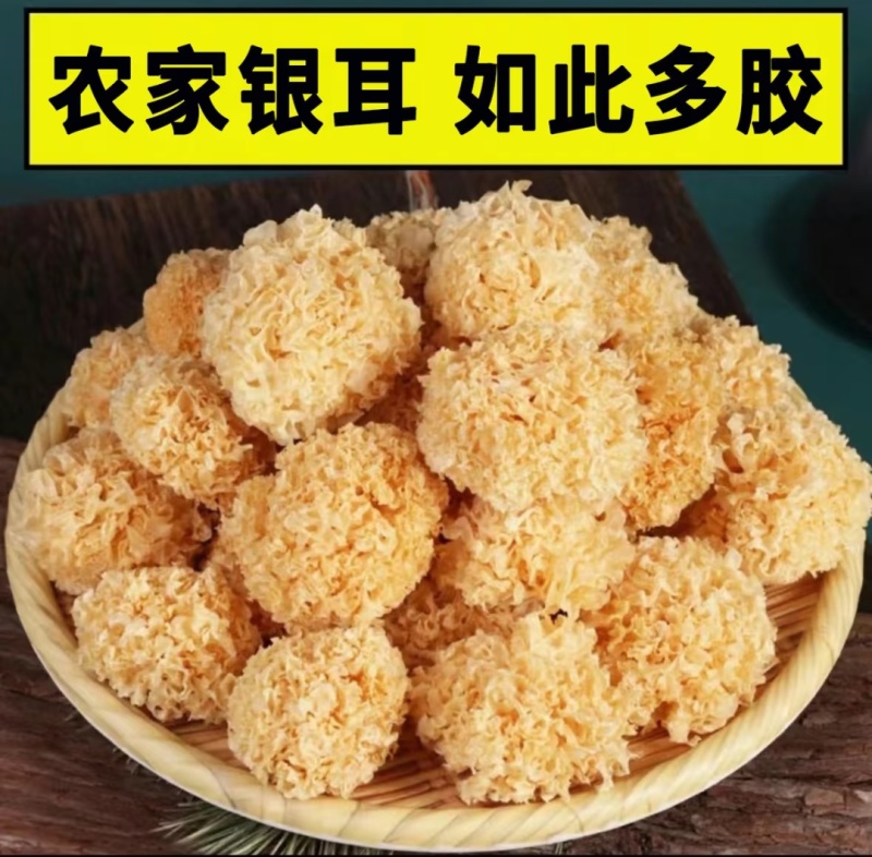 高泡发银耳干品大宗批发自然晾无硫熏餐饮药膳礼品渠道优