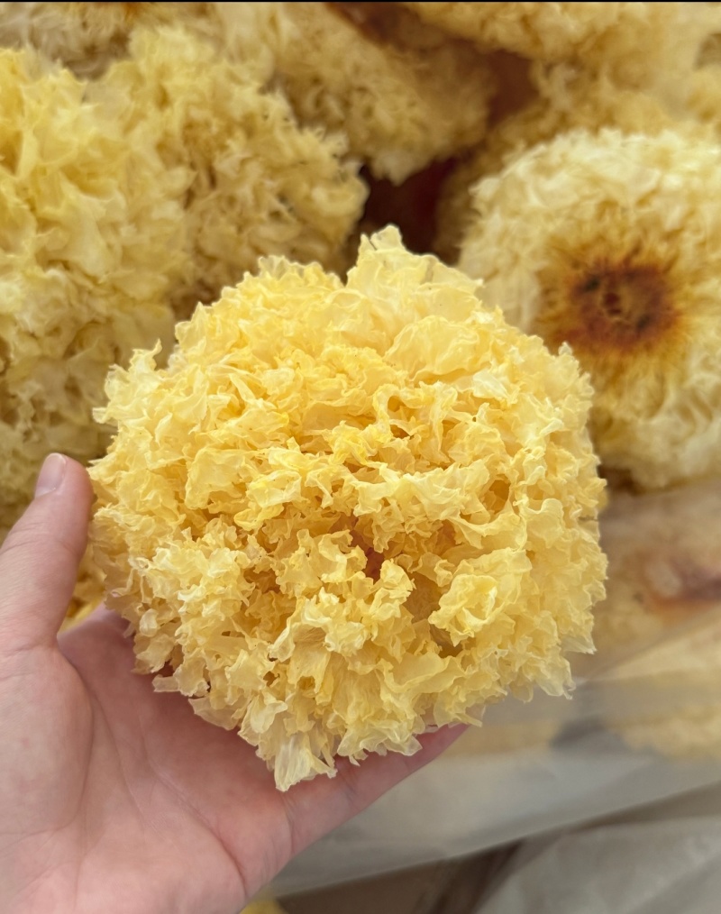 高泡发银耳干品大宗批发自然晾无硫熏餐饮药膳礼品渠道优