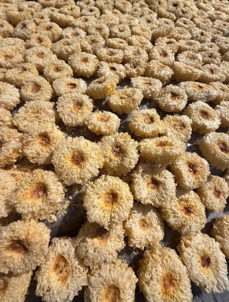 高泡发银耳干品大宗批发自然晾无硫熏餐饮药膳礼品渠道优