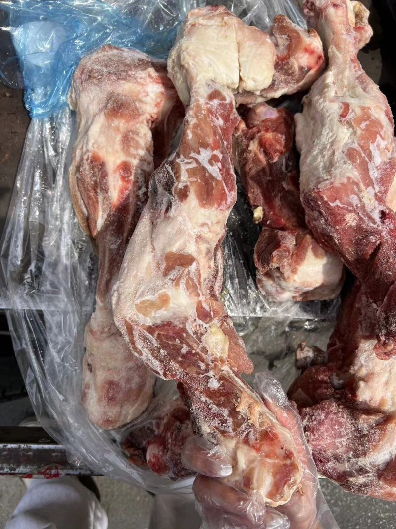 带肉后腿骨