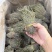 独脚金青绿野生A货短脚13-15公分精品正宗广西产地批发价