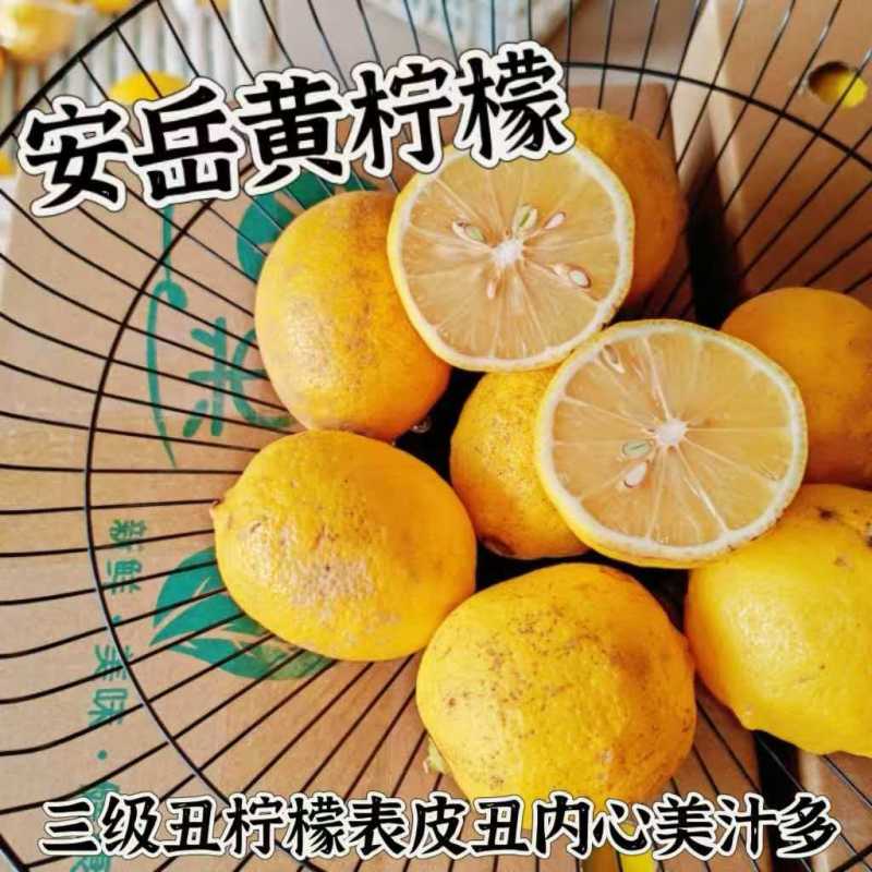 四川资阳安岳县直发正宗安岳柠蒙丑果可榨汁各种规格齐全
