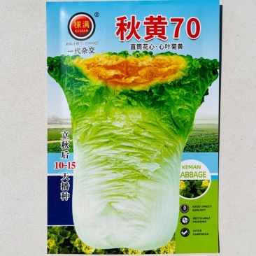 秋黄70大白菜种子直筒花心早熟心叶菊黄白帮农田秋播抗病蔬