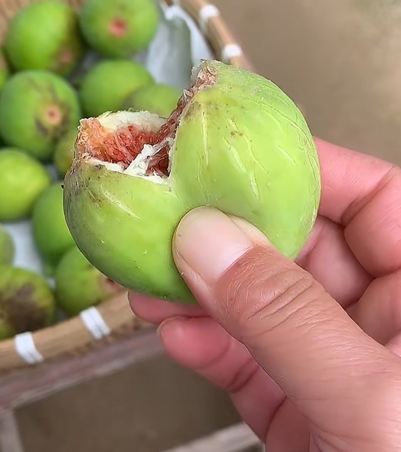 山东威海，无花果干