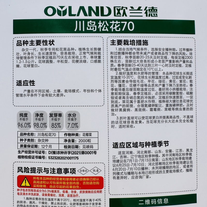 欧兰德白花菜种子川岛松花70天松花菜种子秋季专用花球洁白