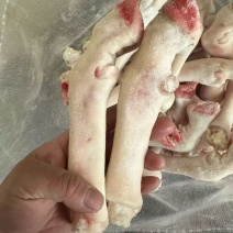 育肥小号白羊蹄