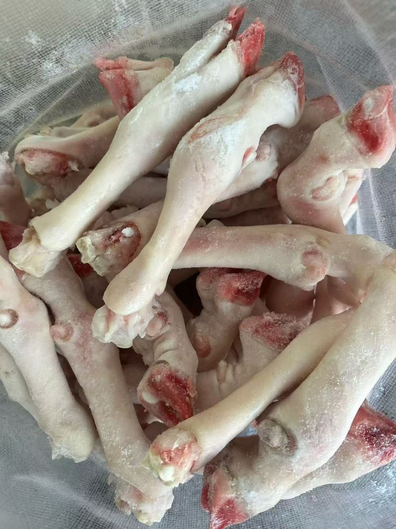 育肥小号白羊蹄