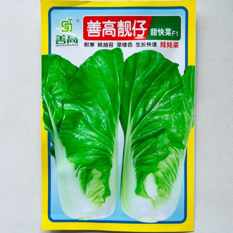 善高靓仔奶油甜快菜种子一代杂交速生小白菜蔬菜种子家庭种植