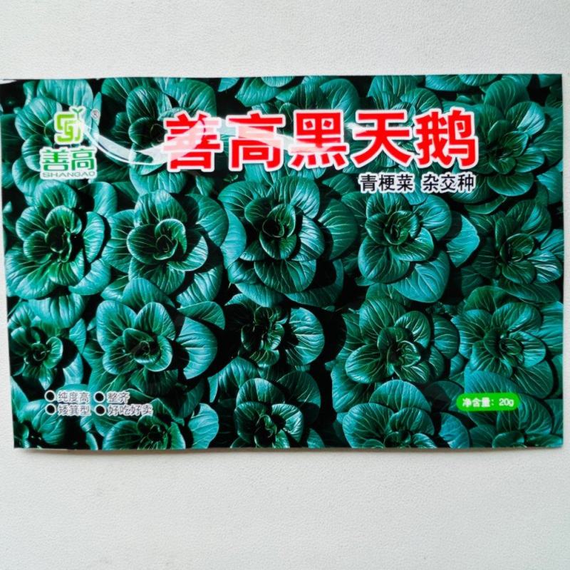 善高黑天鹅黑叶矮脚苏州青青菜种籽高产耐寒四季矮油亮蔬菜种