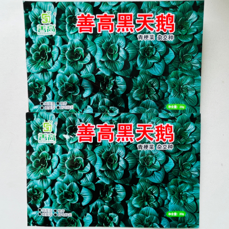 善高黑天鹅黑叶矮脚苏州青青菜种籽高产耐寒四季矮油亮蔬菜种