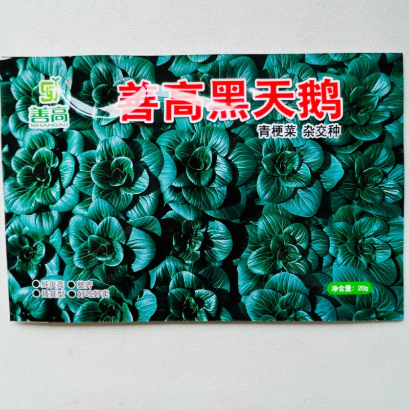 善高黑天鹅黑叶矮脚苏州青青菜种籽高产耐寒四季矮油亮蔬菜种