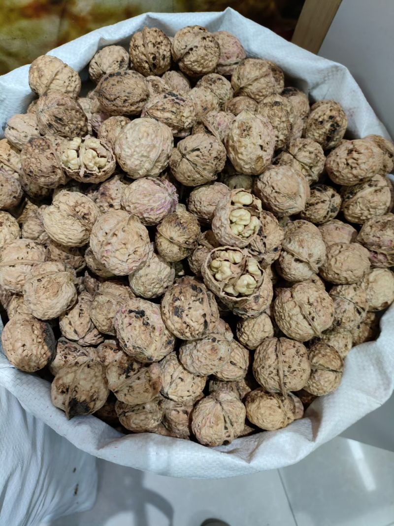 核桃纸皮云南核桃精品核桃产地直销批发零售
