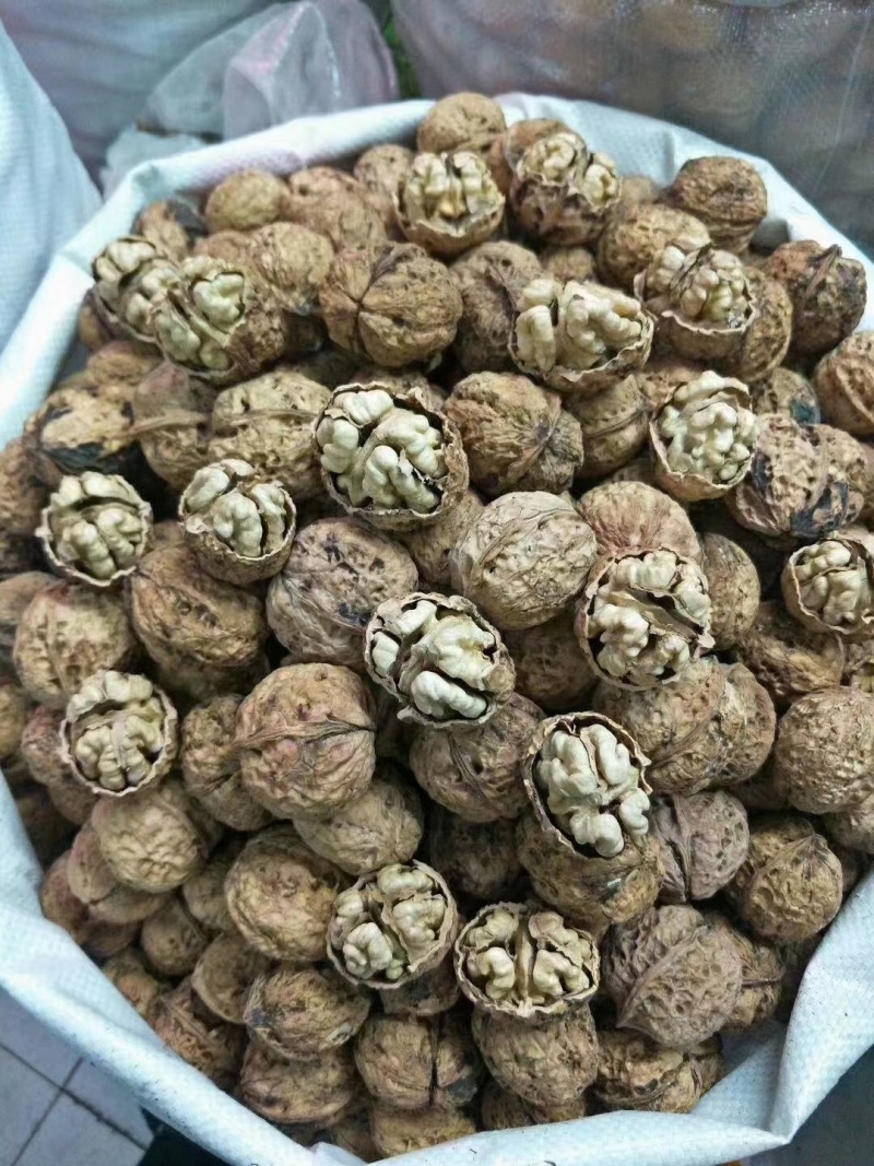 核桃纸皮云南核桃精品核桃产地直销批发零售