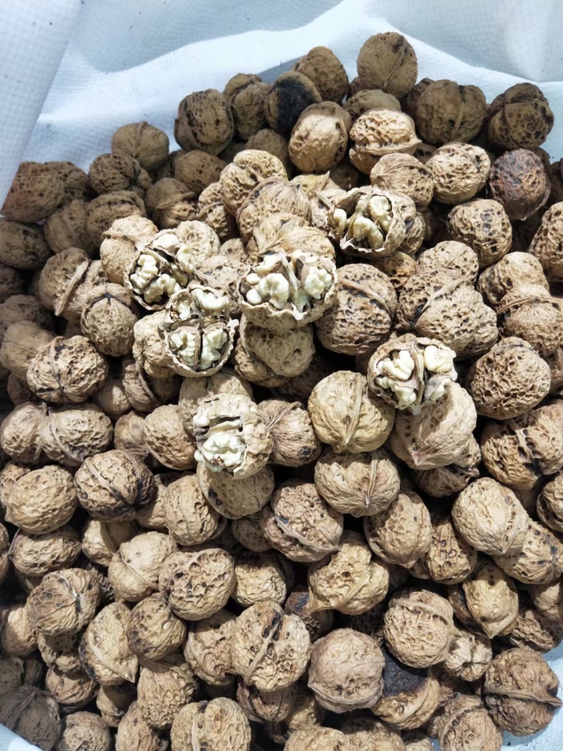 核桃纸皮云南核桃精品核桃产地直销批发零售