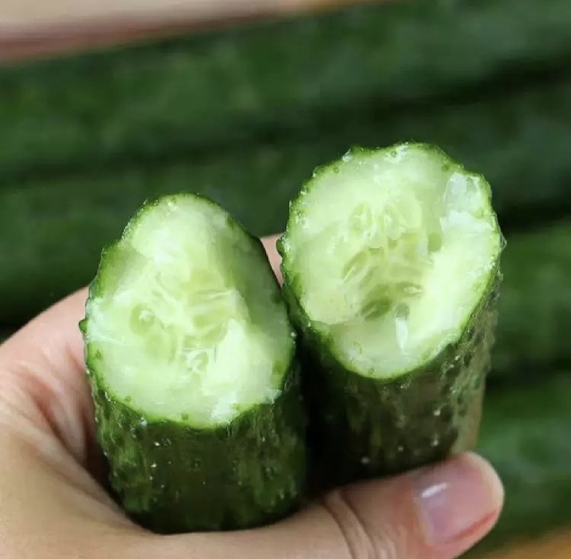 贵州黄瓜，产地直发，保质保量，一手货源
