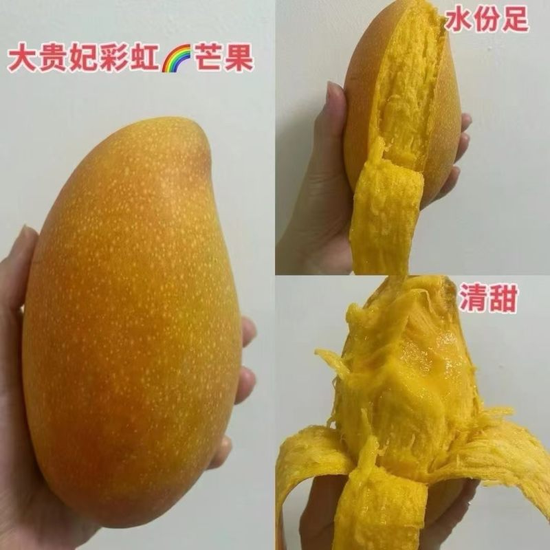 贵妃芒