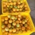 江永夏橙清甜多汁，9分甜，1分酸