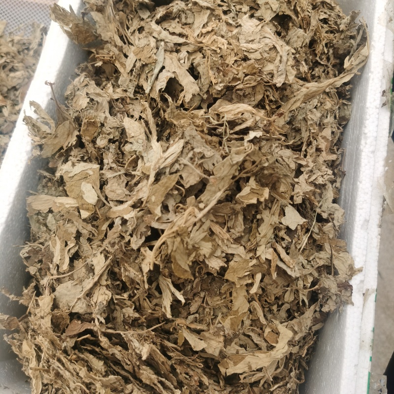 批发出售3年陈艾叶