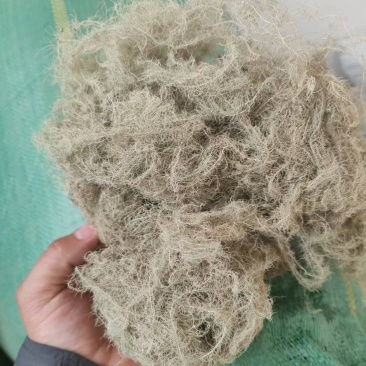 松萝云雾草精品产地直供支持线上交易