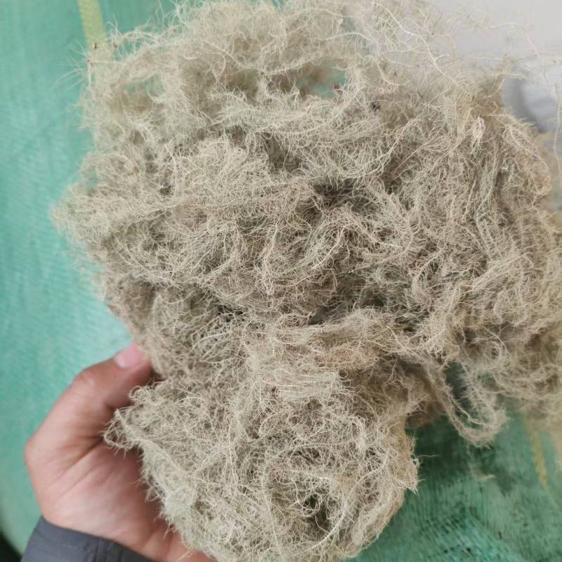 松萝云雾草精品产地直供支持线上交易