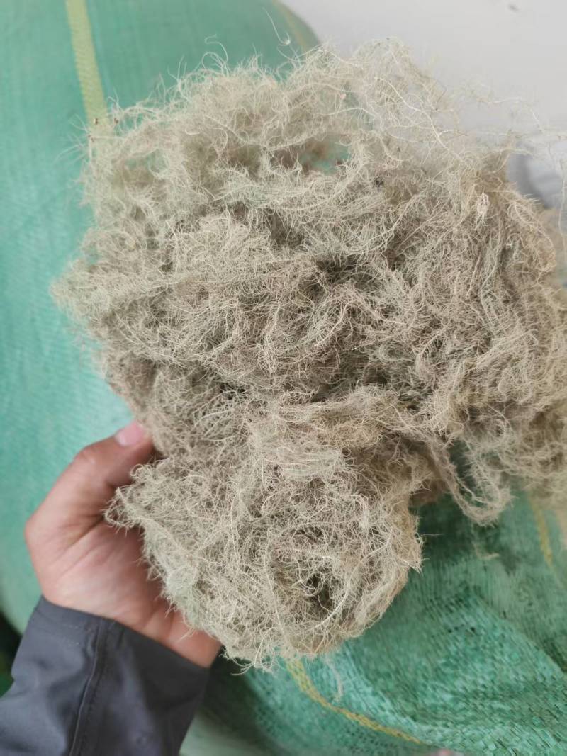 松萝云雾草精品产地直供支持线上交易